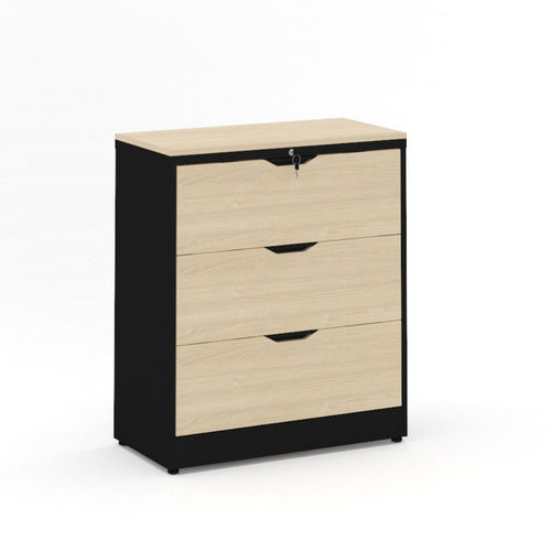 Archivero Horizontal Carga Pesada Cuerpo Metálico con Frente y Cubierta en LP